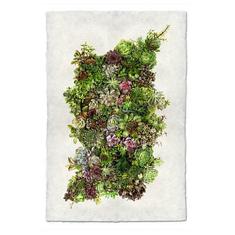 Collective Succulents