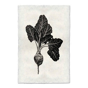 Red Beet