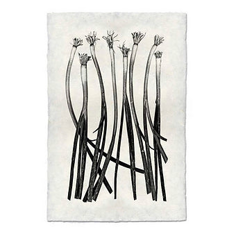 Green Onions