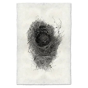 Barloga Nest Studies