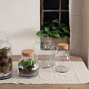 Novalie tarrine Jar - 2 options