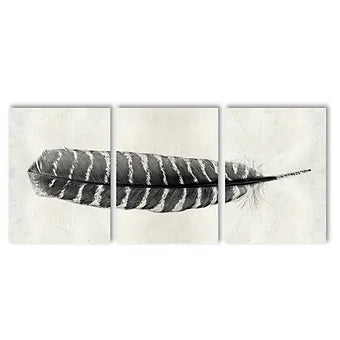 Barloga Feather Triptych