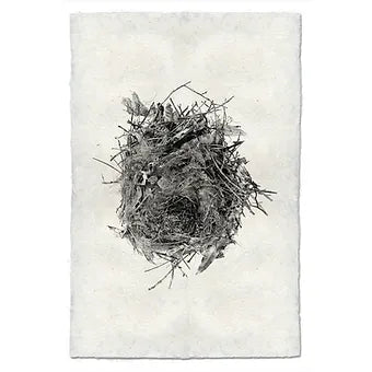 Barloga Nest Studies