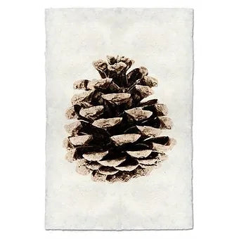 Red Leaf Pinecone Study