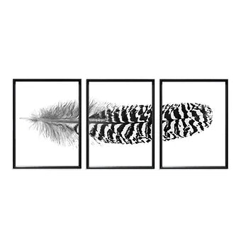 Barloga Feather Triptych