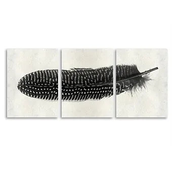 Barloga Feather Triptych