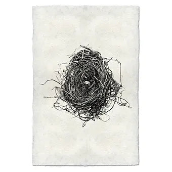 Barloga Nest Studies
