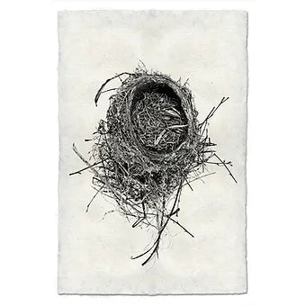 Barloga Nest Studies