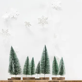 Allentown Trees
