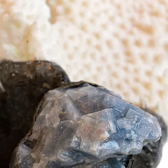 White Coral Blue Calcite Bottle