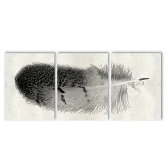 Barloga Feather Triptych