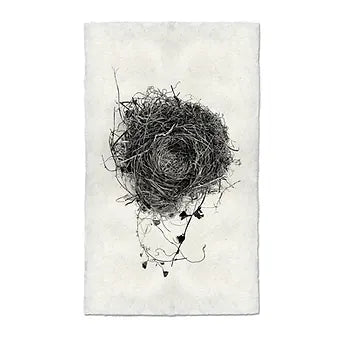 Barloga Nest Studies