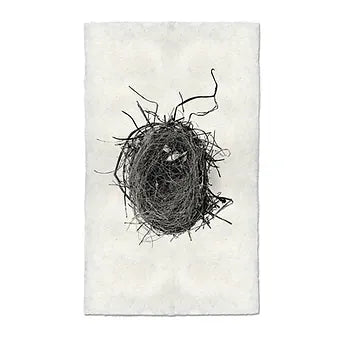 Barloga Nest Studies