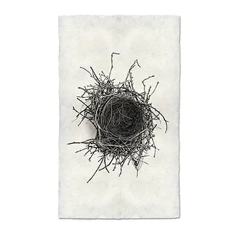 Barloga Nest Studies
