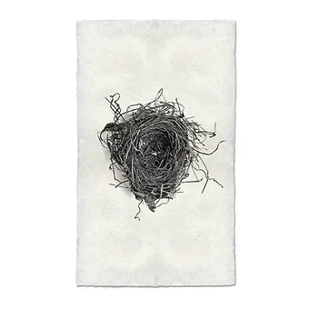 Barloga Nest Studies