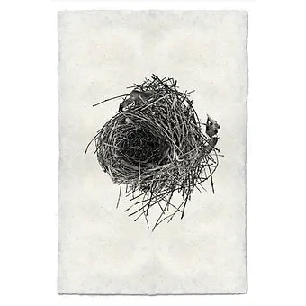 Barloga Nest Studies