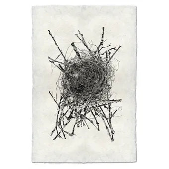 Barloga Nest Studies