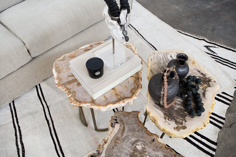 Petrified Wood Side Tables