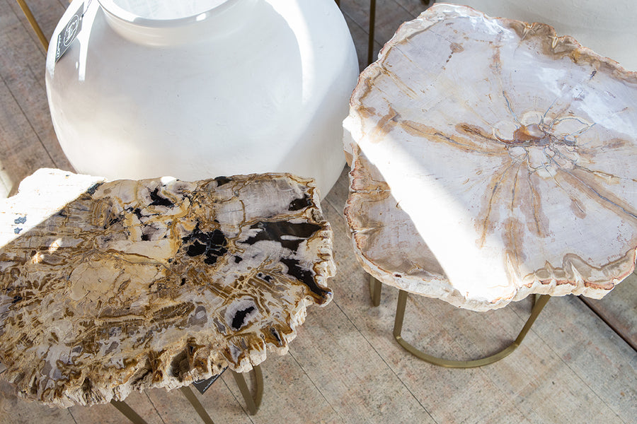 Petrified Wood Side Tables