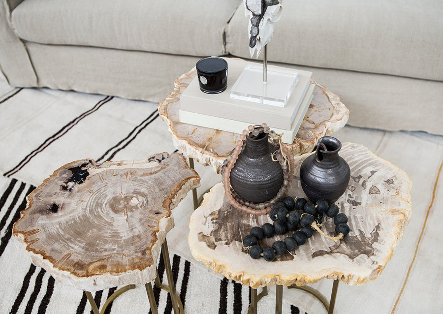 Petrified Wood Side Tables
