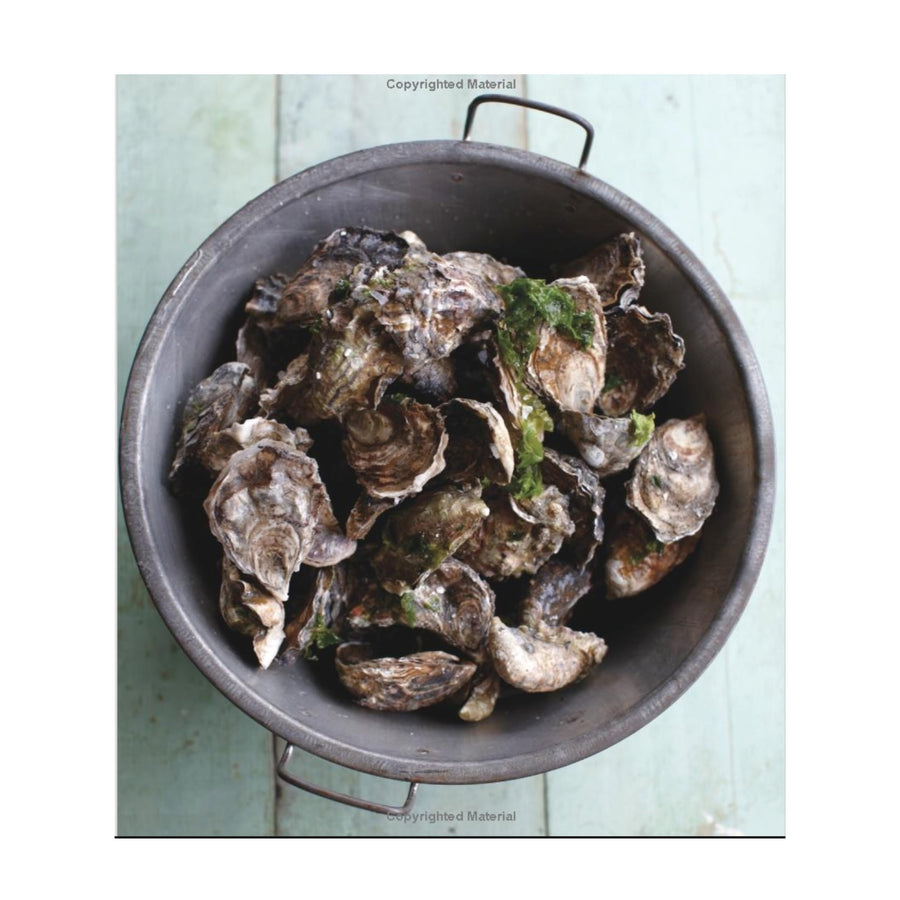 OYSTERS