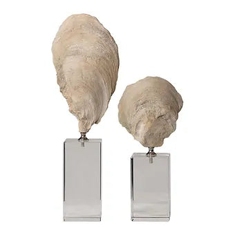 Oyster Sculpture on Acryllic Base