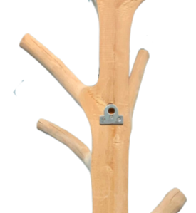 Mango Wood Coat Rack