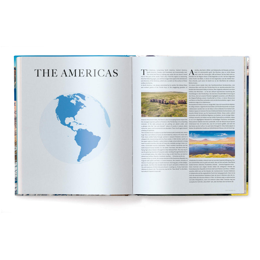 The World - Michael Poliza