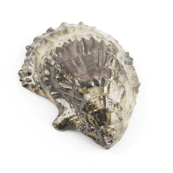 Oceanology Small Oyster Bowl I
