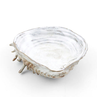 Oceanology Channeled Clam Shell Dish