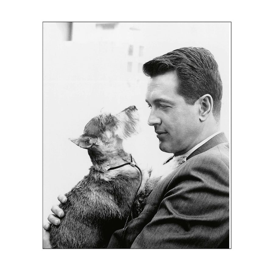 Hollywood Dogs