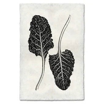 Barloga Vegetable Studies