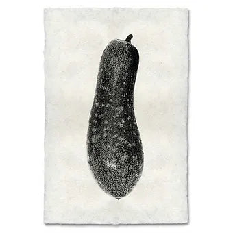 Barloga Vegetable Studies