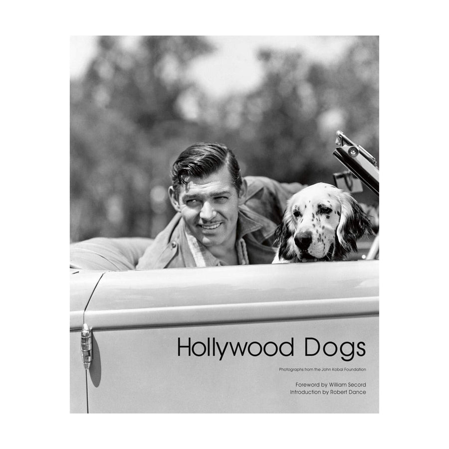 Hollywood Dogs