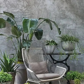 Sprout Planter