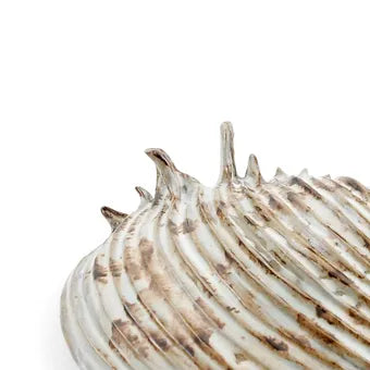 Oceanology Channeled Clam Shell Dish