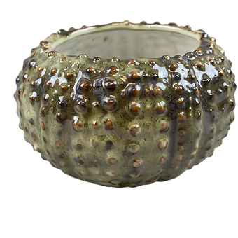 Oceanology Urchin Soup Bowl