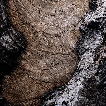 Wood Grain Series III