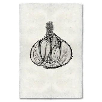 Barloga Vegetable Studies