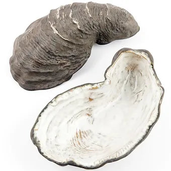 Oceanology Small Oyster Bowl IV