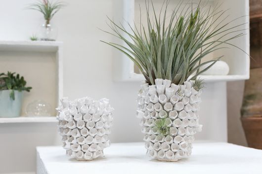 Anemone Vase
