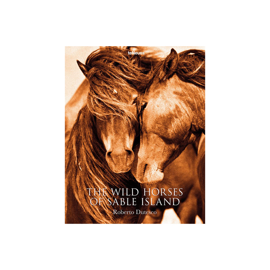 Wild Horses of Sable Island