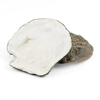 Oceanology Scallop Plate
