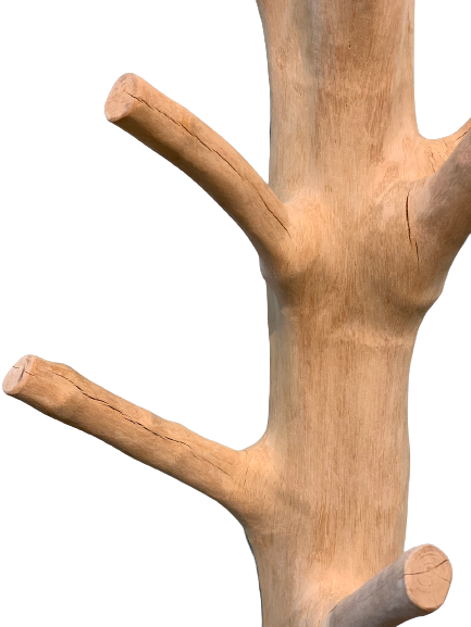 Mango Wood Coat Rack