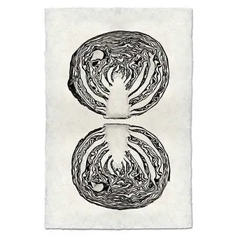 Barloga Vegetable Studies