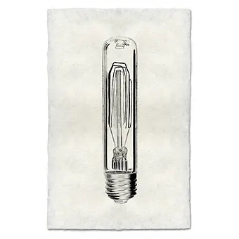 Barloga Vintage Bulbs