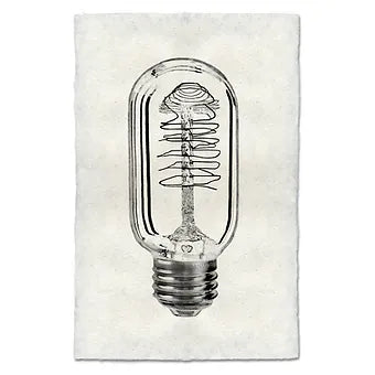 Barloga Vintage Bulbs
