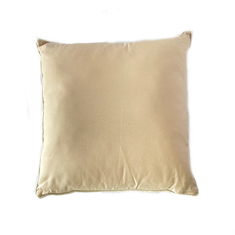 Blush Embroidered Pillow