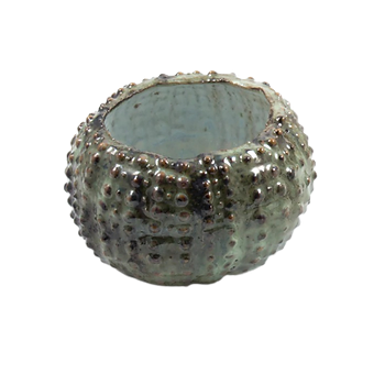 Oceanology Urchin Soup Bowl