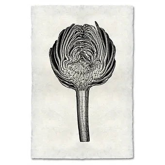 Barloga Vegetable Studies
